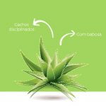 Kanechom Aloe Disciplined Curls Moisturizing Conditioning Mask